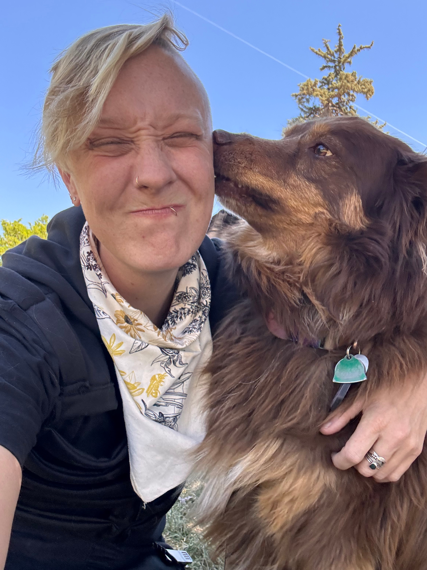 A dog kissing my cheek on a sunny day